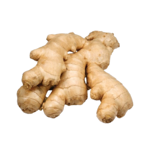 Ginger