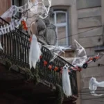 Derry Halloween 2026: 40 Years of Europe’s Biggest Halloween Festival and Its Samhain Roots