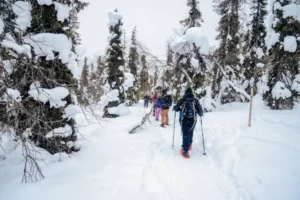 Winter Microcations 2026/27