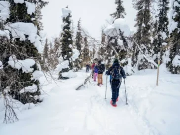 Winter Microcations 2026/27